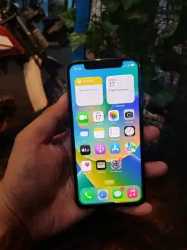 Iphone X 256 GB