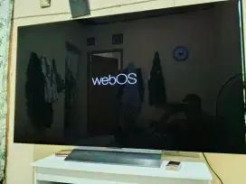mentok di logo webos tv LG 55 oled