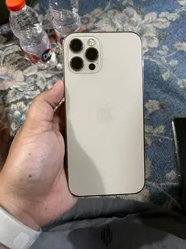 ip 12 pro 256gb
