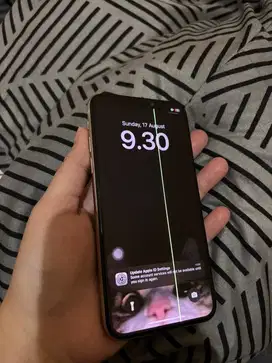 Iphone X 64gb minus green line kamera belakang off
