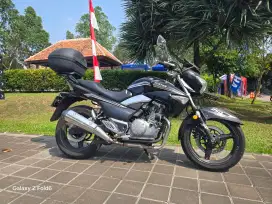 Suzuki Inazuma Nama Sendiri Pajak Panjang