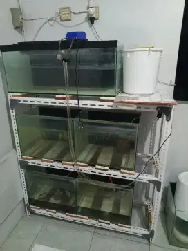 Aquarium Full Set & rak