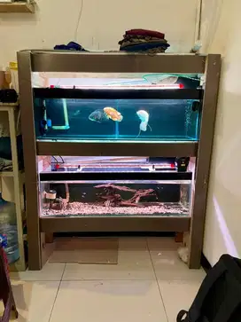 Aquarium Fullset dengan Ikannya