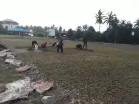 Tukan Lapangan sepak bola