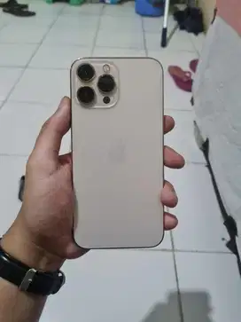 Iphone 13 Pro Max 128gb