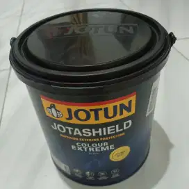 Cat jotun extreme grey