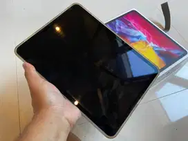 Ipad Pro 11 Inci