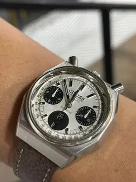 Citizen Bull Head Octagon - Rare