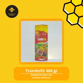 Sari Kurma Madu Angkak Trombofit Semarang