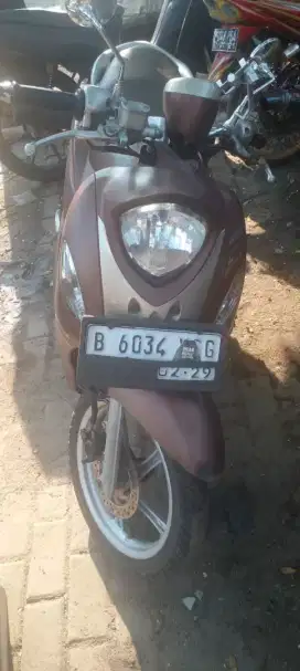 fino 125 brownis