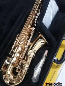 Saxophone Yamaha Yas 860  Kredit DP 0