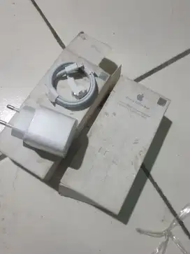 carger iphone 13 pro max