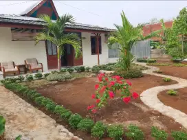 Rumah & Pekarangan Desa Kejawar