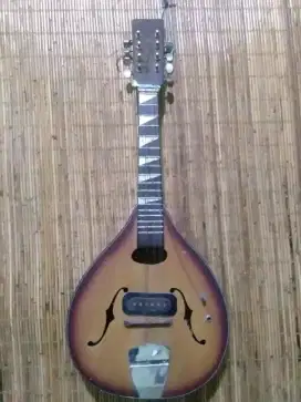gitar elektrik mandolin/mini