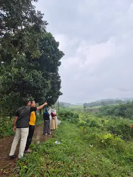Jual Tanah SHM di Puncak Bogor - Promo Pre Launching
