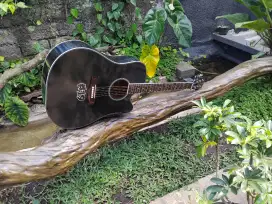 Gitar akustik Cole Clark