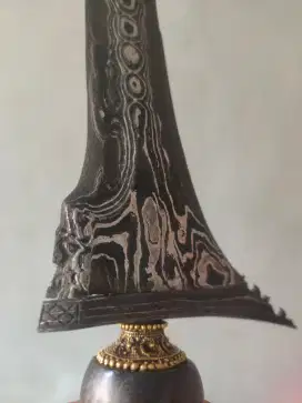 Jalak ngore HB V kinata Makoro