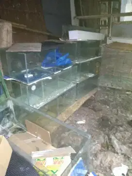 aquarium murah ada 8 bisa borongan dan satuan bisa barter hp bkas  dll