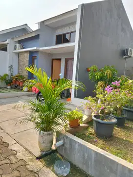 Dikontrakan rumah cluster