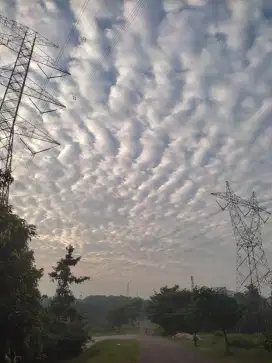 Jasa Supir Panggilan