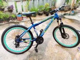 Sepeda Pacifik 24