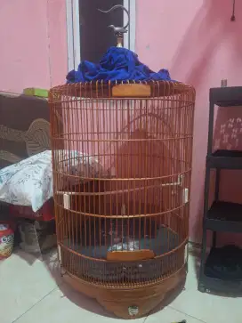 Kandang Murai no.1