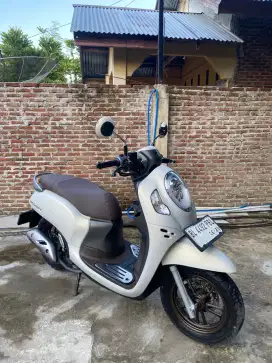 honda scopy 2024