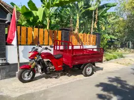 Viar 2015 Long istimewa plat AD