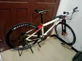 Polygon cozmic RX CARBON