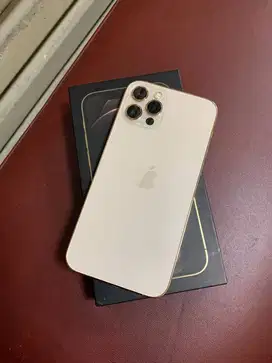 iPhone 12 Pro 256gb Gold Bea Cukai Sinyal Permanen