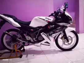 Ninja Rr SE pajAk hdp panjang
