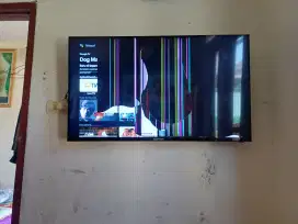 Tv android polytron 43 inch