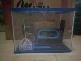 Akuarium hias..