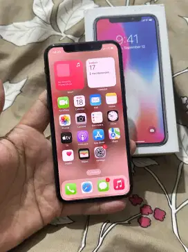 Iphone X 256Gb All Operator No Minus