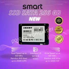 SSD Smart 256GB 2.5mm [Box] SATA III 6GB/s SSD SATA SSD PC SSD Laptop