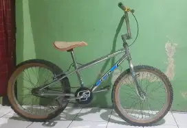 BMX Oldscholl. GT Dyno Blaze