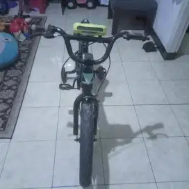 Sepeda anak velion collins