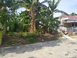Tanah Dijual SHM Delima Panam Pekanbaru