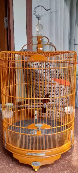 Murai batu medan