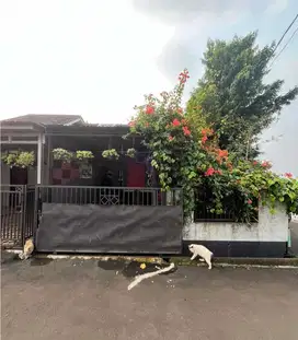 RUMAH CANTIK PERUM RESIDENCE HILL GUNUNG SINDUR BOGOR