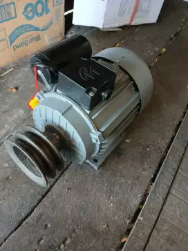 Mesin parut nyiur merk wipro 1hp