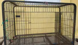 Kandang Anjing Besar bekas PITBULL