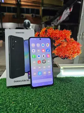Samsung A36 5G 8/256gb Lengkap Mulus Normal