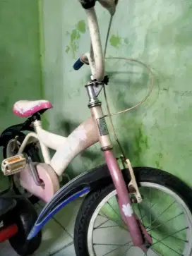 Di jual sepeda anak usia5 tahun