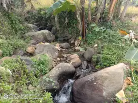 Dijual Sawah view Gunung Salak