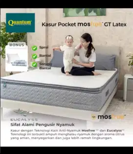 JUAL RUGI KASUR QUANTUM MOSfree