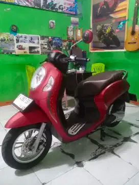 Honda scoopy stylish th 2024 pajak depok hidup