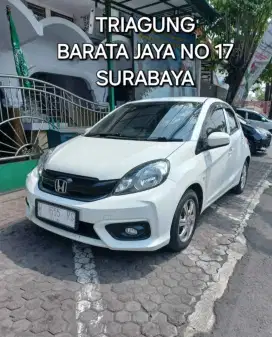 BRIO E SATYA MANUAL 2016