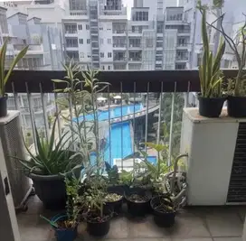 Dijual Apartment Pearl Garden Gatot Subroto