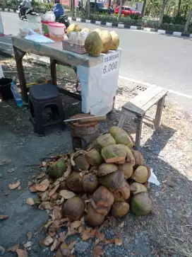 Jual Es degan merr